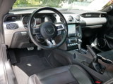 Used 2019 Ford Mustang Premium image 4