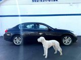 Used 2013 INFINITI G37 x Sedan w/ Premium Pkg image 5