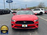 Used 2022 Ford Mustang Premium image 4