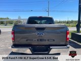 Used 2019 Ford F150 XLT image 4