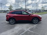 New 2025 Ford Escape ST-Line image 5
