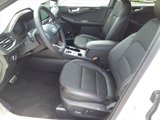 New 2024 Ford Escape ST-Line Select w/ Tech Pack #1 image 5