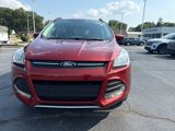 Used 2016 Ford Escape SE w/ SE Leather Comfort Package image 3