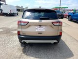 Used 2020 Ford Escape SE image 6