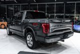 Used 2016 Ford F150 Platinum w/ Equipment Group 701A Luxury image 2