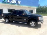 Used 2013 Ford F150 XLT w/ Luxury Equipment Group image 2