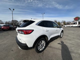 Used 2020 Ford Escape SE image 3