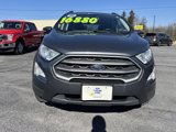 Used 2020 Ford EcoSport SE image 2