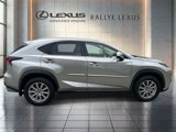 Used 2021 Lexus NX 300 AWD w/ Comfort Package image 2