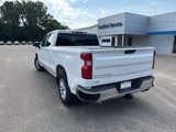 Used 2020 Chevrolet Silverado 1500 LT w/ All-Star Edition image 5