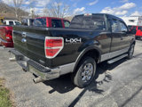 Used 2013 Ford F150 XLT w/ Luxury Equipment Group image 5