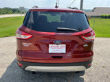 Used 2016 Ford Escape SE w/ Equipment Group 201A image 4
