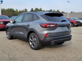 New 2025 Ford Escape ST-Line w/ Tech Pack #1 image 5