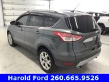 Used 2016 Ford Escape Titanium image 5
