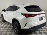 Used 2023 Lexus NX 250 FWD w/ Premium Package image 4