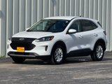Used 2020 Ford Escape SE image 3