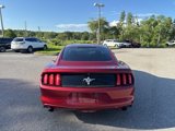 Used 2015 Ford Mustang Coupe image 4