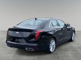 New 2025 Cadillac CT4 Premium Luxury image 5