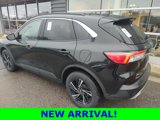 Used 2020 Ford Escape SE image 3