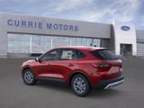 New 2025 Ford Escape Active w/ Cold Weather Package image 4
