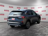 Used 2021 Ford Escape SEL image 5