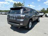 Used 2017 Toyota 4Runner SR5 Premium image 6
