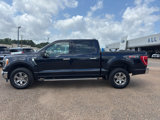 Used 2021 Ford F150 XLT w/ Equipment Group 302A High image 2