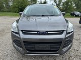 Used 2014 Ford Escape SE image 2