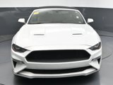 Used 2019 Ford Mustang Premium image 2