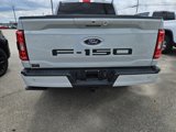 Used 2023 Ford F150 XLT w/ Equipment Group 302A High image 5