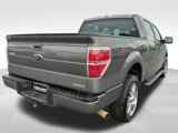 Used 2014 Ford F150 STX w/ Equipment Group 201A Mid image 5