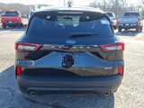 New 2025 Ford Escape ST-Line w/ Tech Pack #1 image 5