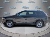 Used 2020 Jeep Cherokee Latitude image 6