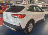 Used 2020 Ford Escape SE image 2