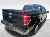 Used 2013 Ford F150 XLT w/ Luxury Equipment Group image 3