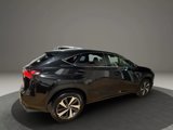 Used 2020 Lexus NX 300 FWD w/ Comfort Package image 6
