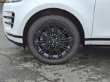 Certified 2025 Land Rover Range Rover Evoque Dynamic SE image 2