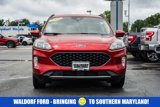 Used 2020 Ford Escape SEL image 2
