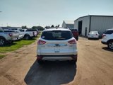 Used 2015 Ford Escape Titanium image 6