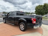 Used 2016 Ford F150 XLT w/ Equipment Group 301A Mid image 4