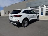 Used 2024 Ford Escape Active w/ Tech Pack #1 image 6