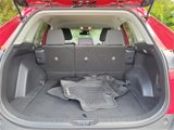 Used 2019 Toyota RAV4 LE image 5