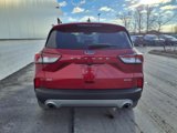 Certified 2022 Ford Escape SE w/ Convenience Package image 5