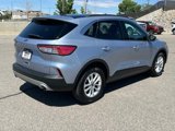 Certified 2022 Ford Escape SE w/ Convenience Package image 5