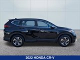 Used 2022 Honda CR-V Special Edition image 6