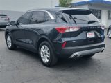 Used 2022 Ford Escape SE image 6