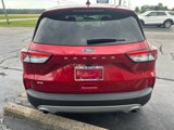 Used 2022 Ford Escape SE w/ Cold Weather Package image 4