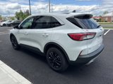 Used 2022 Ford Escape SE w/ Cold Weather Package image 5
