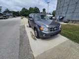 Used 2011 Ford Escape XLT w/ 202A Rapid Spec Order Code image 6