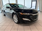 Certified 2024 Chevrolet Malibu LT image 2